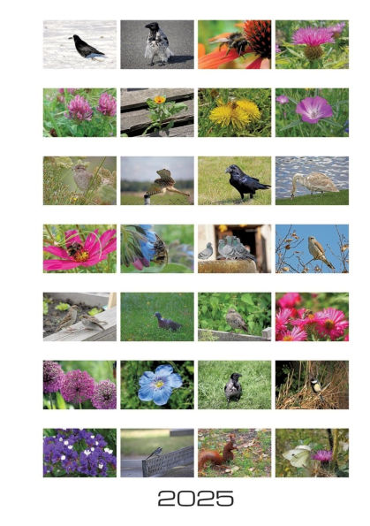 Stadtnatur: Wochenkalender 2025