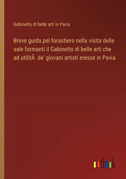 Breve guida pel forastiero nella visita delle sale formanti il Gabinetto di belle arti che ad utilitï¿½ de' giovani artisti eresse Pavia