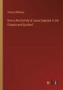 How is the Divinity of Jesus Depicted in the Gospels and Epistles?