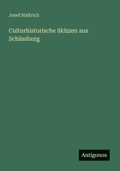 Culturhistorische Skizzen aus Schï¿½ssburg