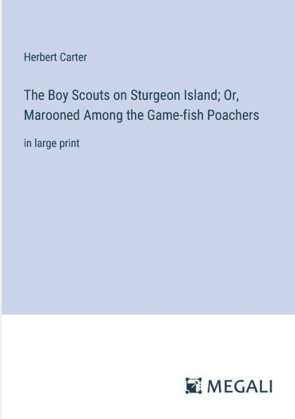 the Boy Scouts on Sturgeon Island; Or, Marooned Among Game-fish Poachers: large print