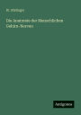 Die Anatomie der Menschlichen Gehirn-Nerven