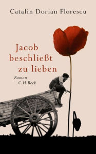 Title: Jacob beschließt zu lieben: Roman, Author: Catalin Dorian Florescu