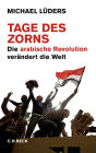 Tage des Zorns: Die arabische Revolution verändert die Welt