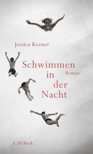 Schwimmen in der Nacht: Roman