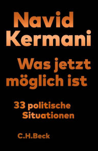 Title: Was jetzt möglich ist: 33 politische Situationen, Author: Navid Kermani