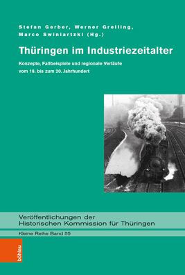 Thuringen im Industriezeitalter: Konzepte, Fallbeispiele und regionale Verlaufe vom 18. bis zum 20. Jahrhundert / Edition 1