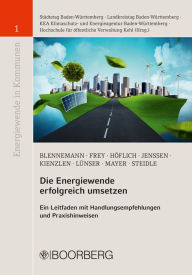 Title: Die Energiewende erfolgreich umsetzen: Ein Leitfaden mit Handlungsempfehlungen und Praxishinweisen, Author: Thilo Blennemann