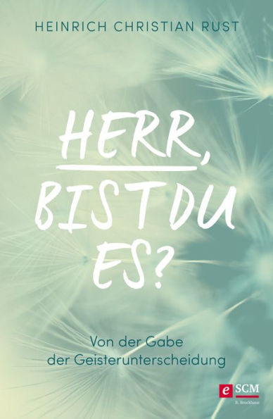 Herr, bist du es?: Von der Gabe der Geisterunterscheidung