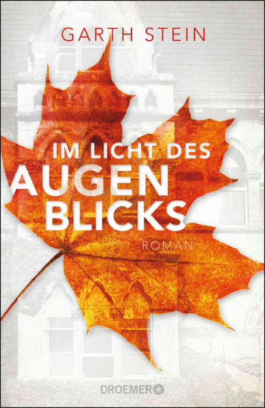 Im Licht des Augenblicks: Roman