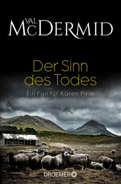 Der Sinn des Todes: Kriminalroman