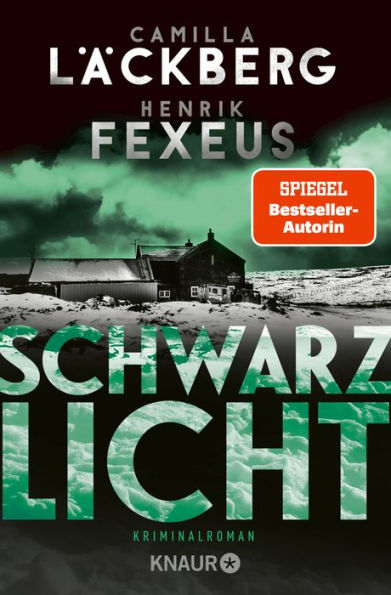 Schwarzlicht: Kriminalroman Der Bestseller aus Schweden