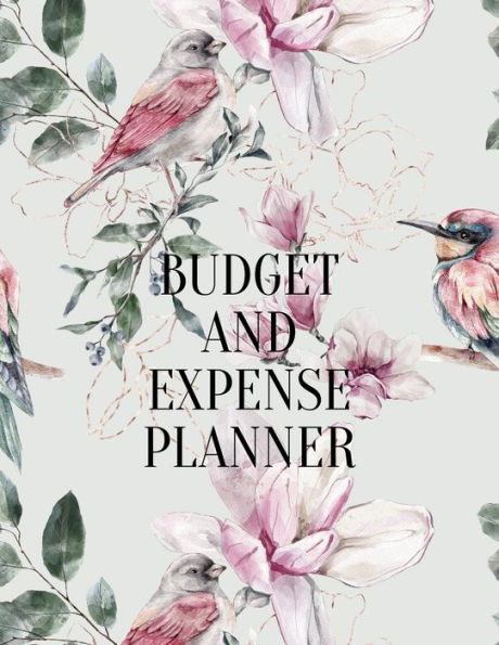 Budget and expense planner