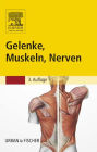 Gelenke, Muskeln, Nerven