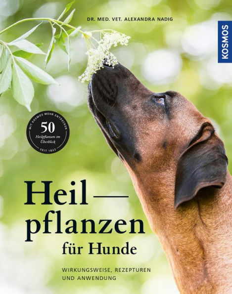 Heilpflanzen für Hunde: Wirkungsweise, Rezepturen und Anwendung