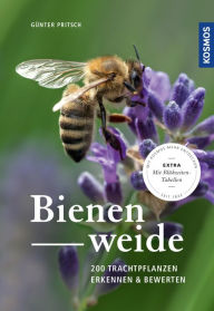 Title: Bienenweide: 200 Trachtpflanzen erkennen und bewerten, Author: Günter Pritsch