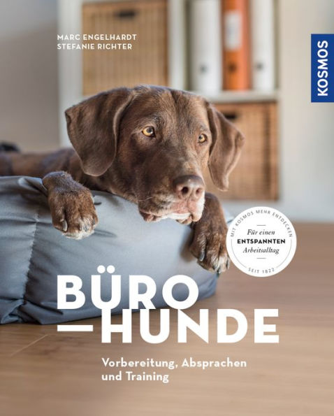 Bürohunde: Vorbereitung, Absprachen und Training