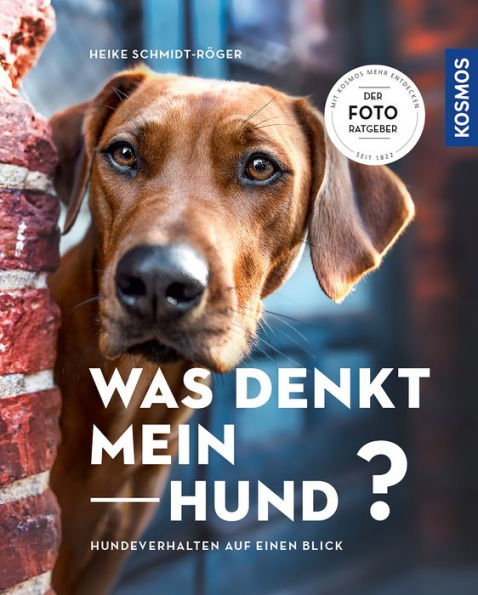 Was denkt mein Hund?: Hundeverhalten auf einen Blick - Der Foto-Ratgeber