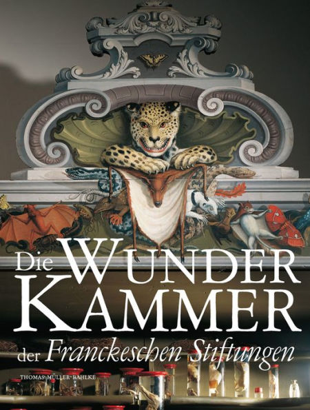 Die Wunderkammer der Franckeschen Stiftungen