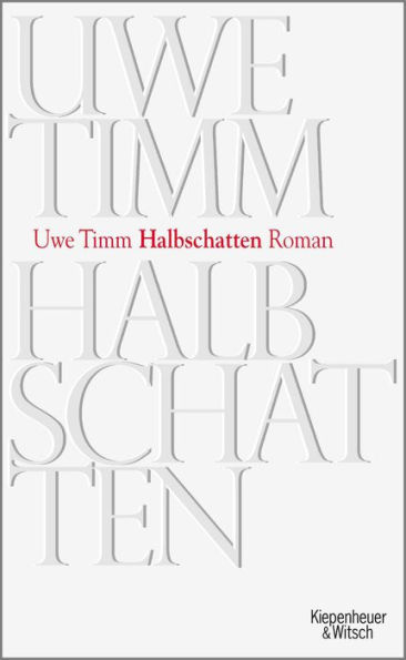 Halbschatten: Roman