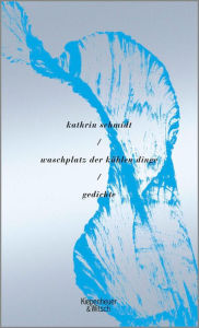 Title: waschplatz der kühlen dinge: Gedichte, Author: Kathrin Schmidt