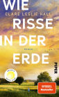 Wie Risse in der Erde: Roman »Ein Buch, das man vielleicht nie in seinem Leben wieder vergisst.« Deutschlandfunk Kultur