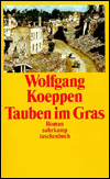 Tauben Im Gras