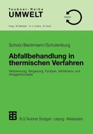 Title: Abfallbehandlung in thermischen Verfahren: Verbrennung, Vergasung, Pyrolyse, Verfahrens- und Anlagenkonzepte, Author: Reinhard Scholz