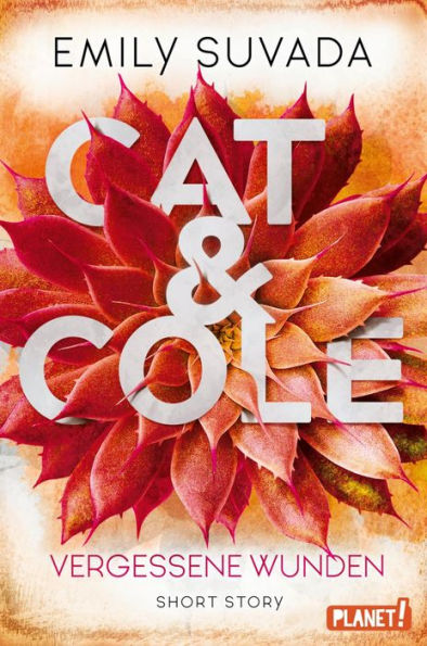 Cat & Cole: Vergessene Wunden: Short Story