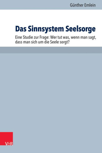 Das Sinnsystem Seelsorge: Eine Studie zur Frage: Wer tut was, wenn man sagt, dass man sich um die Seele sorgt?