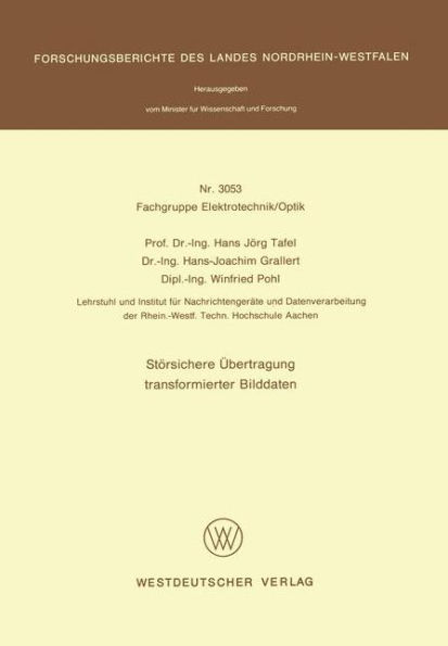Störsichere Übertragung transformierter Bilddaten