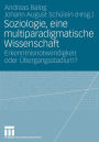 Soziologie, eine multiparadigmatische Wissenschaft: Erkenntnisnotwendigkeit oder Übergangsstadium?