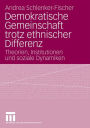 Demokratische Gemeinschaft trotz ethnischer Differenz: Theorien, Institutionen und soziale Dynamiken