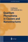 Quantum Phenomena in Clusters and Nanostructures