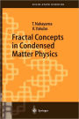 Fractal Concepts in Condensed Matter Physics / Edition 1