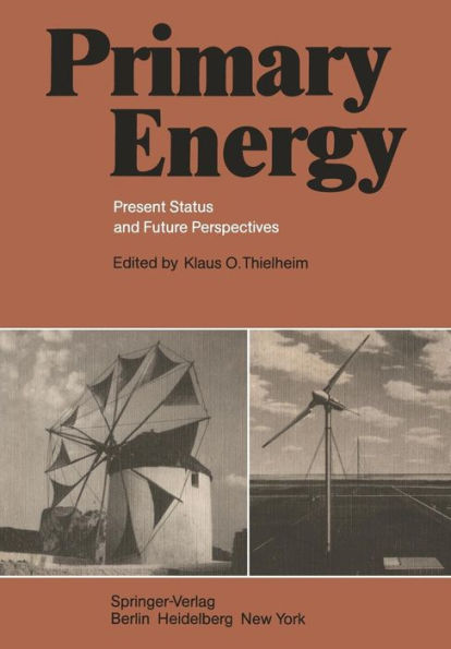 Primary Energy: Present Status and Future Perspectives