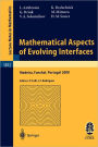 Mathematical Aspects of Evolving Interfaces: Lectures given at the C.I.M.-C.I.M.E. joint Euro-Summer School held in Madeira Funchal, Portugal, July 3-9, 2000 / Edition 1