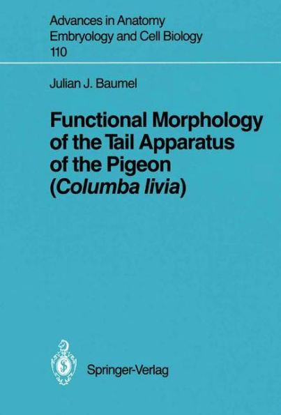Functional Morphology of the Tail Apparatus of the Pigeon (Columba livia)