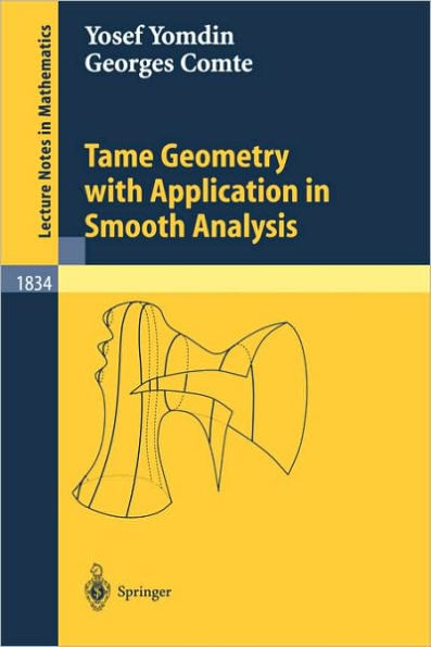 Tame Geometry with Application in Smooth Analysis / Edition 1