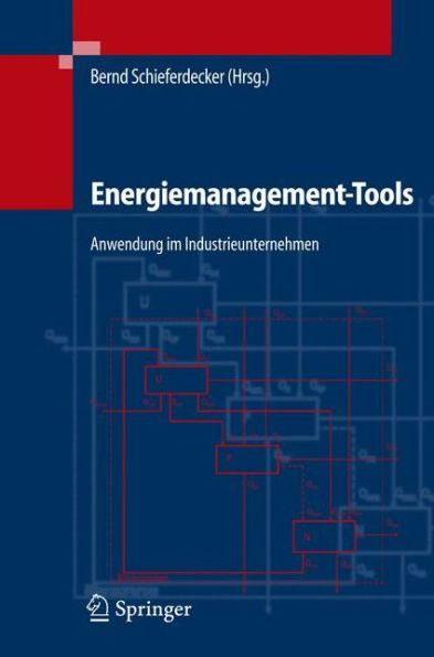 Energiemanagement-Tools: Anwendung im Industrieunternehmen / Edition 1