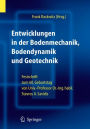 Entwicklungen in der Bodenmechanik, Bodendynamik und Geotechnik: Festschrift zum 60. Geburtstag von Herrn Univ.-Professor Dr.-Ing. habil. Stavros A. Savidis / Edition 1