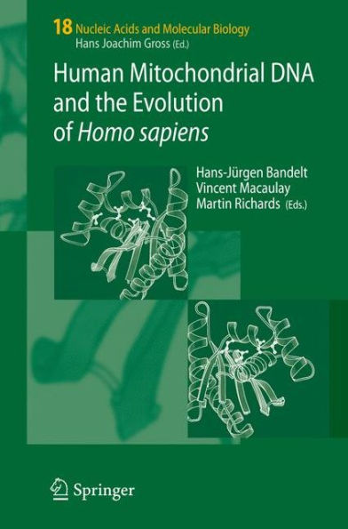 Human Mitochondrial DNA and the Evolution of Homo sapiens / Edition 1