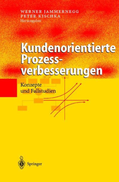 Kundenorientierte Prozessverbesserungen: Konzepte und Fallstudien / Edition 1