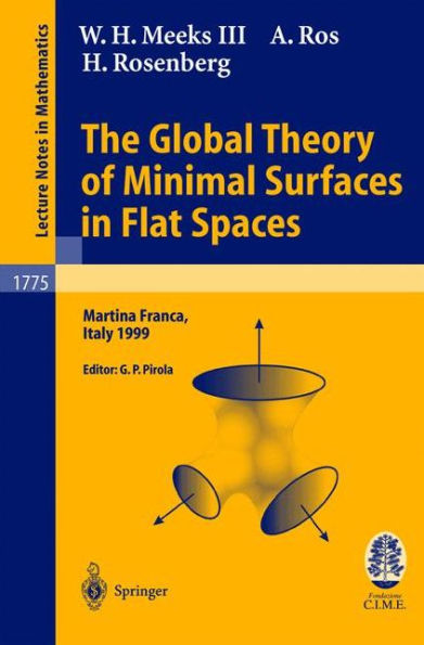 The Global Theory of Minimal Surfaces in Flat Spaces: Lectures given at the 2nd Session of the Centro Internazionale Matematico Estivo (C.I.M.E.) held in Martina Franca, Italy, June 7-14, 1999 / Edition 1