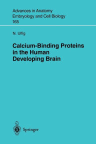 Title: Calcium-Binding Proteins in the Human Developing Brain, Author: N. Ulfig