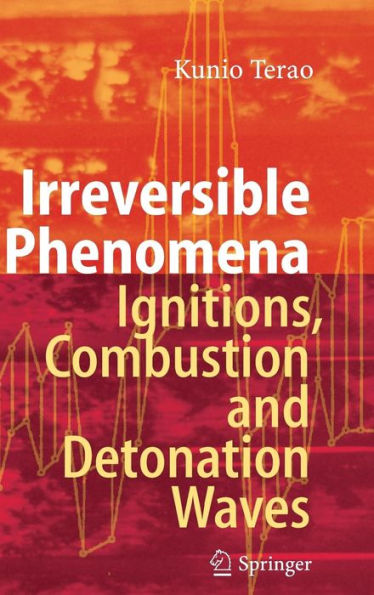 Irreversible Phenomena: Ignitions, Combustion and Detonation Waves / Edition 1