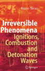 Irreversible Phenomena: Ignitions, Combustion and Detonation Waves / Edition 1