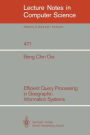 Efficient Query Processing in Geographic Information Systems