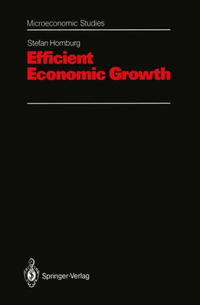 Efficient Economic Growth / Edition 1