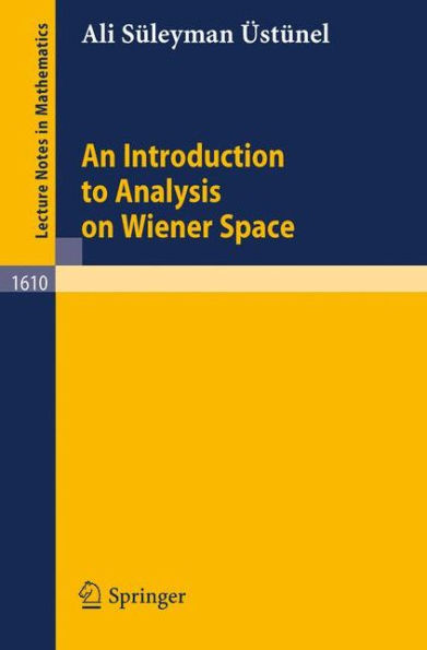 An Introduction to Analysis on Wiener Space / Edition 1